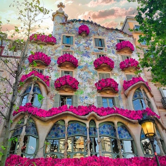 Meet your Posher, Danielle - Picture 7 of 8